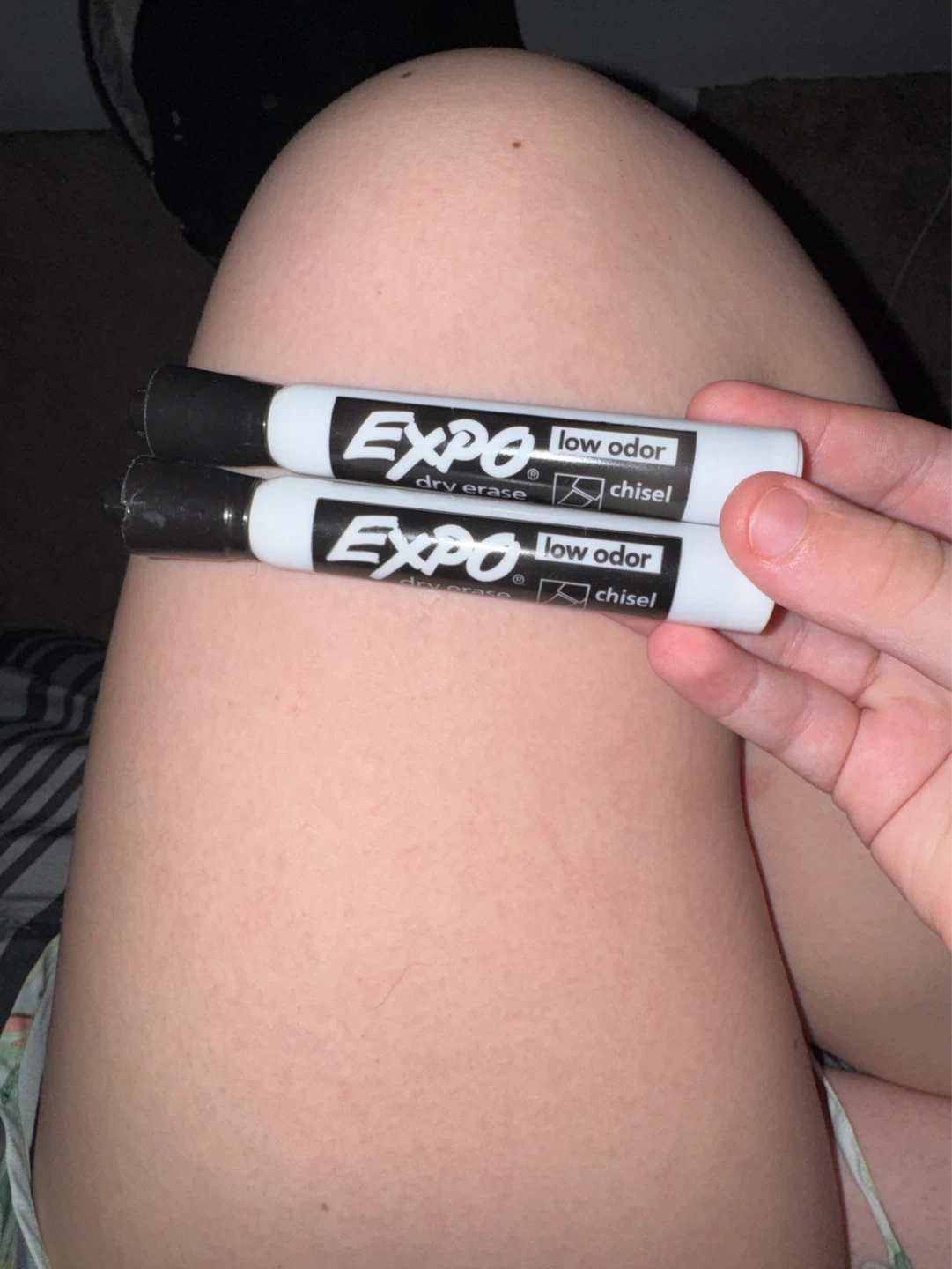 Expo Low Odor Dry Erase Markers (2 Pack)