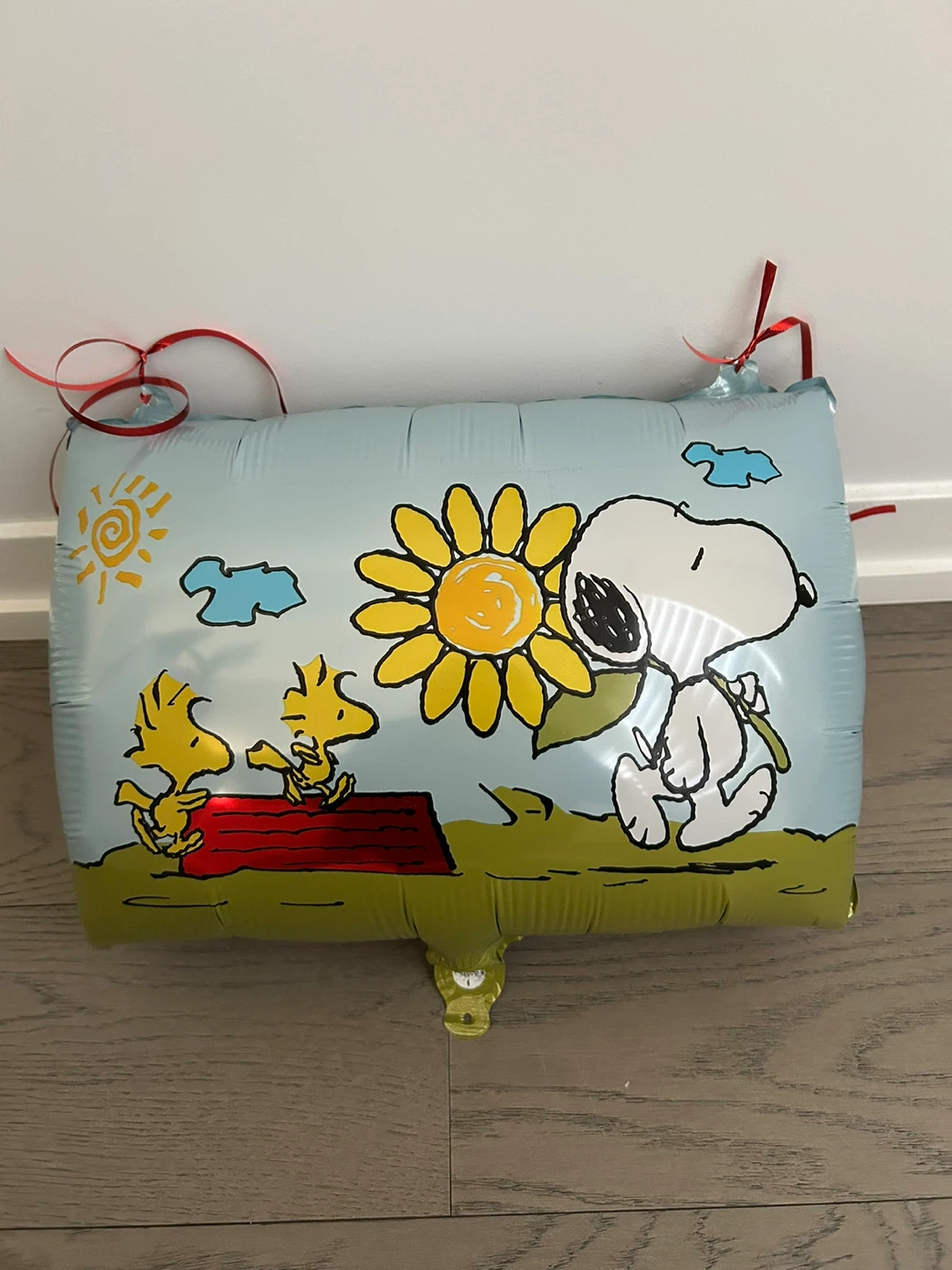 Preowned Peanuts Snoopy and Woodstock Balloon Party Decorations
