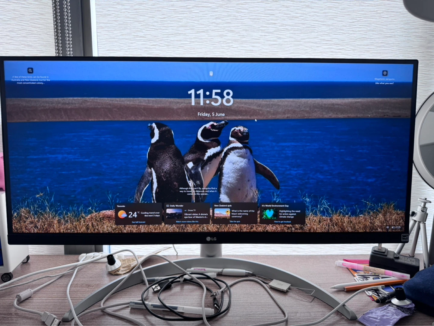 LG UltraWide Monitor