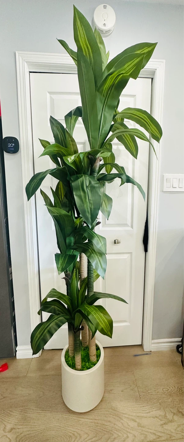 Oakred 6 ft Artificial Dracaena Plant - photo 2