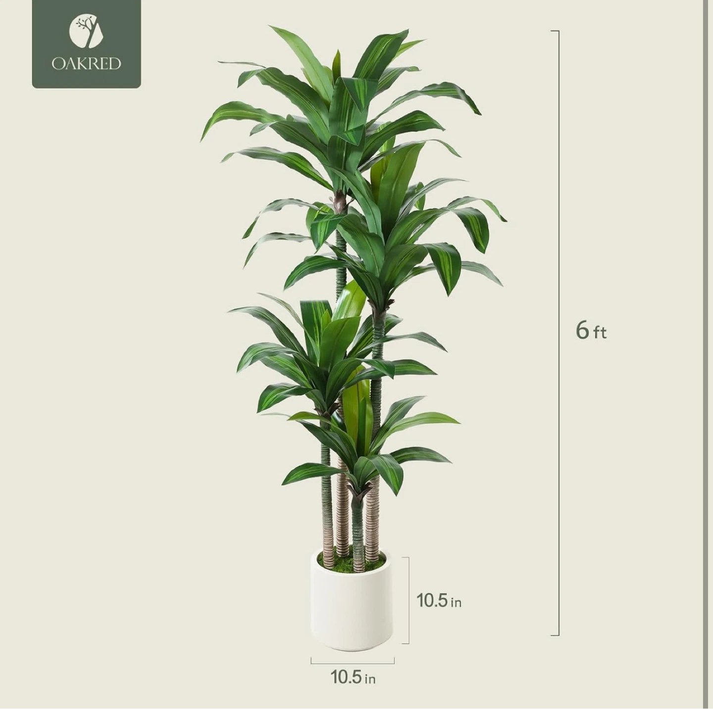 Oakred 6 ft Artificial Dracaena Plant - photo 4