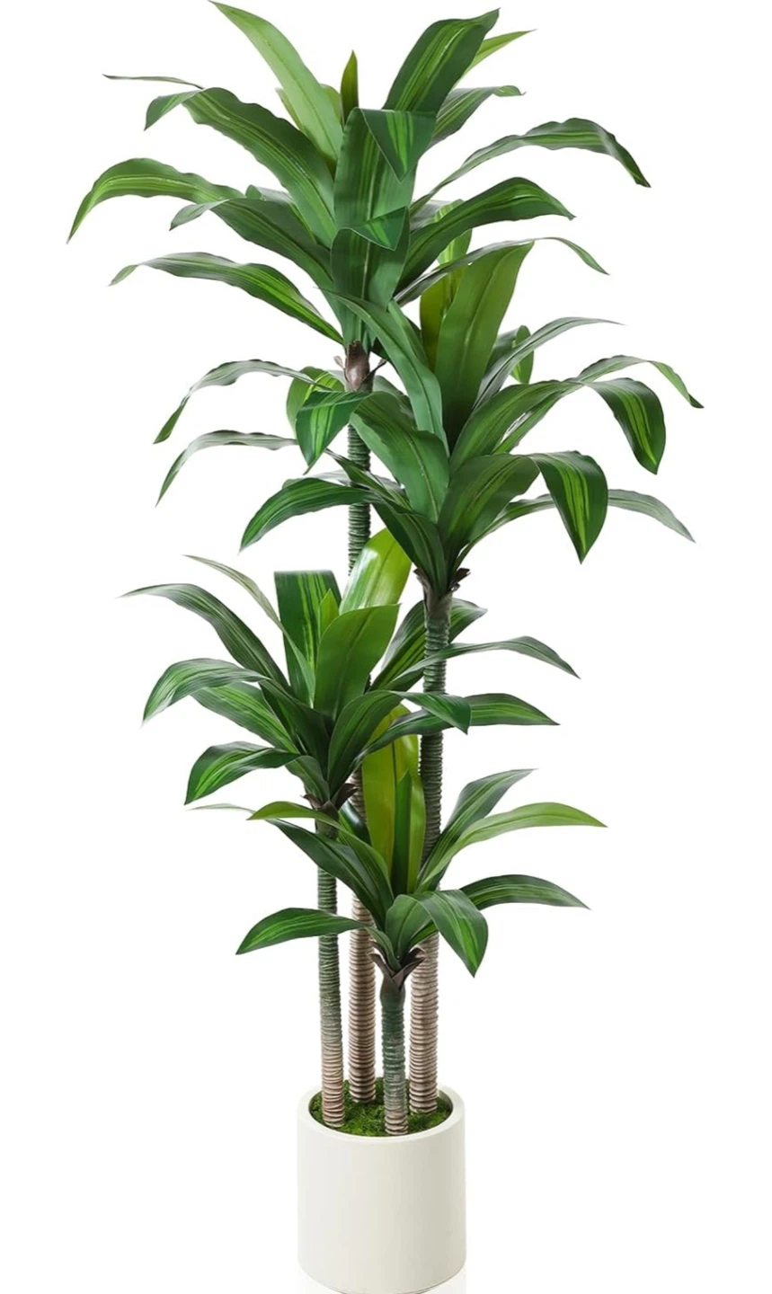 Oakred 6 ft Artificial Dracaena Plant