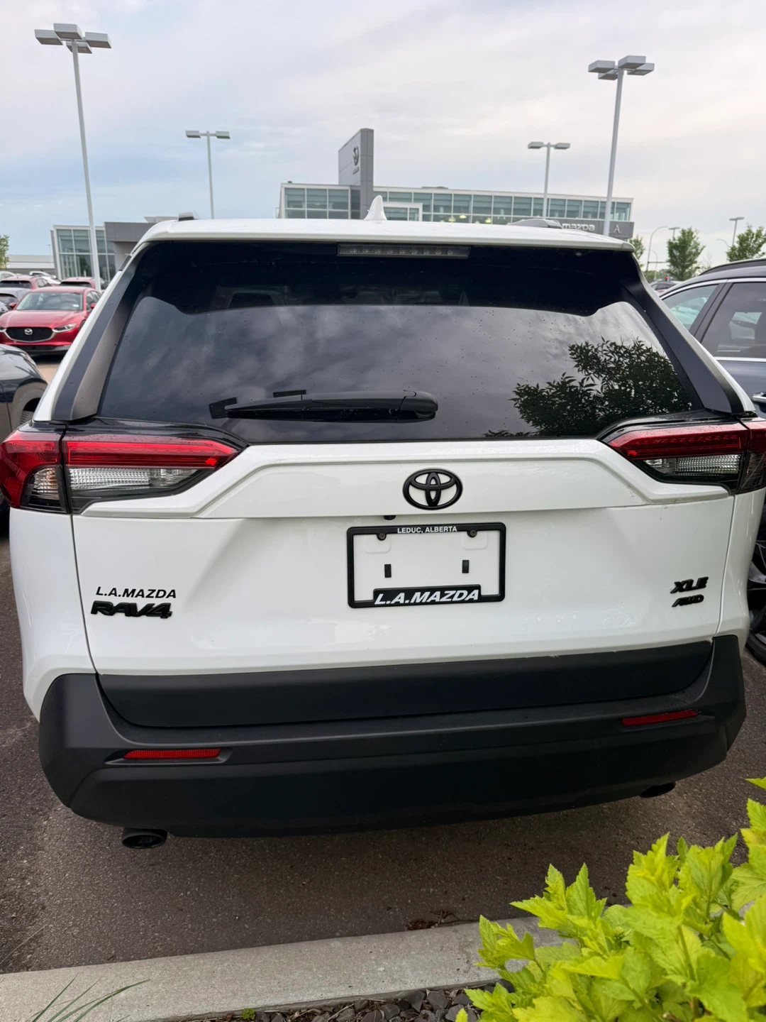 2022 Toyota RAV4 XLE AWD - photo 3