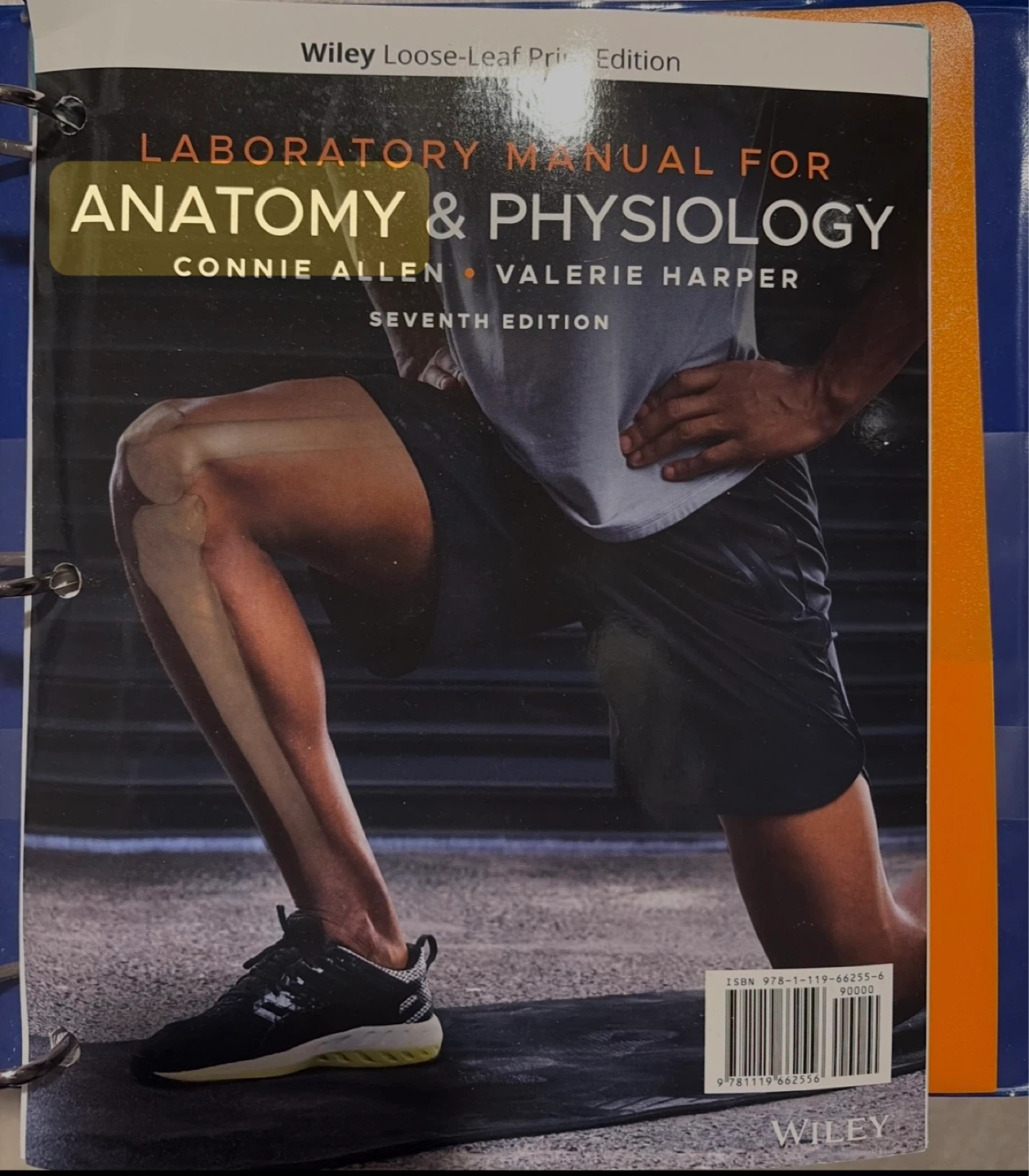 Wiley Laboratory Manual for Anatomy & Physiology