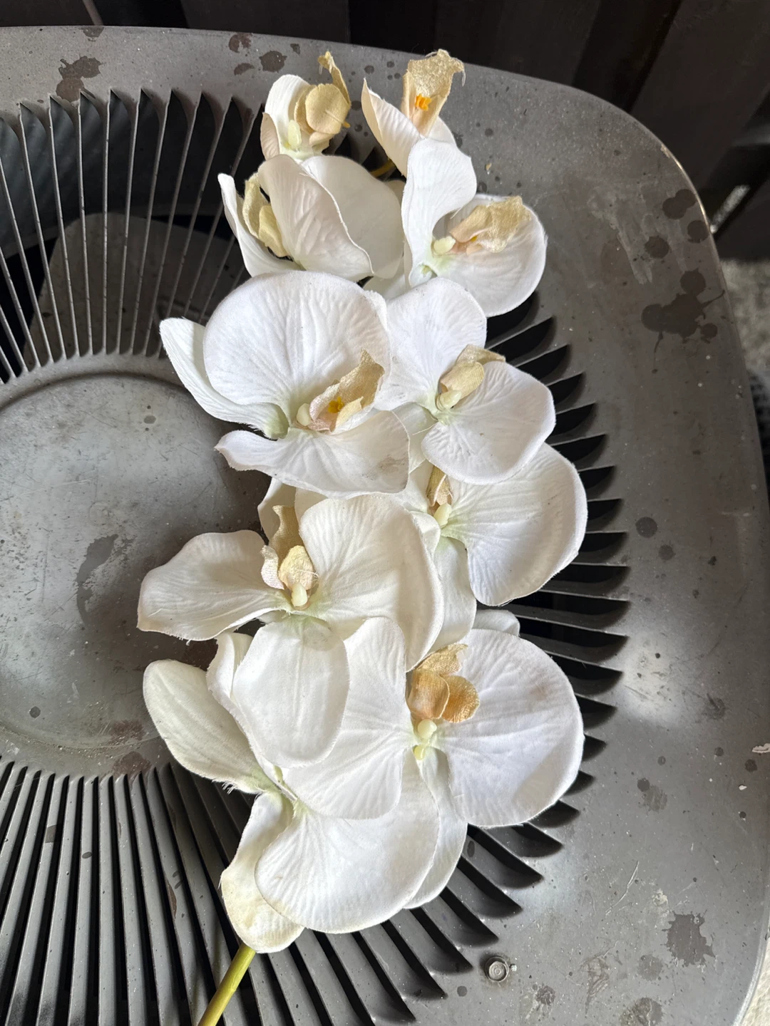 Artificial White Orchid Stem