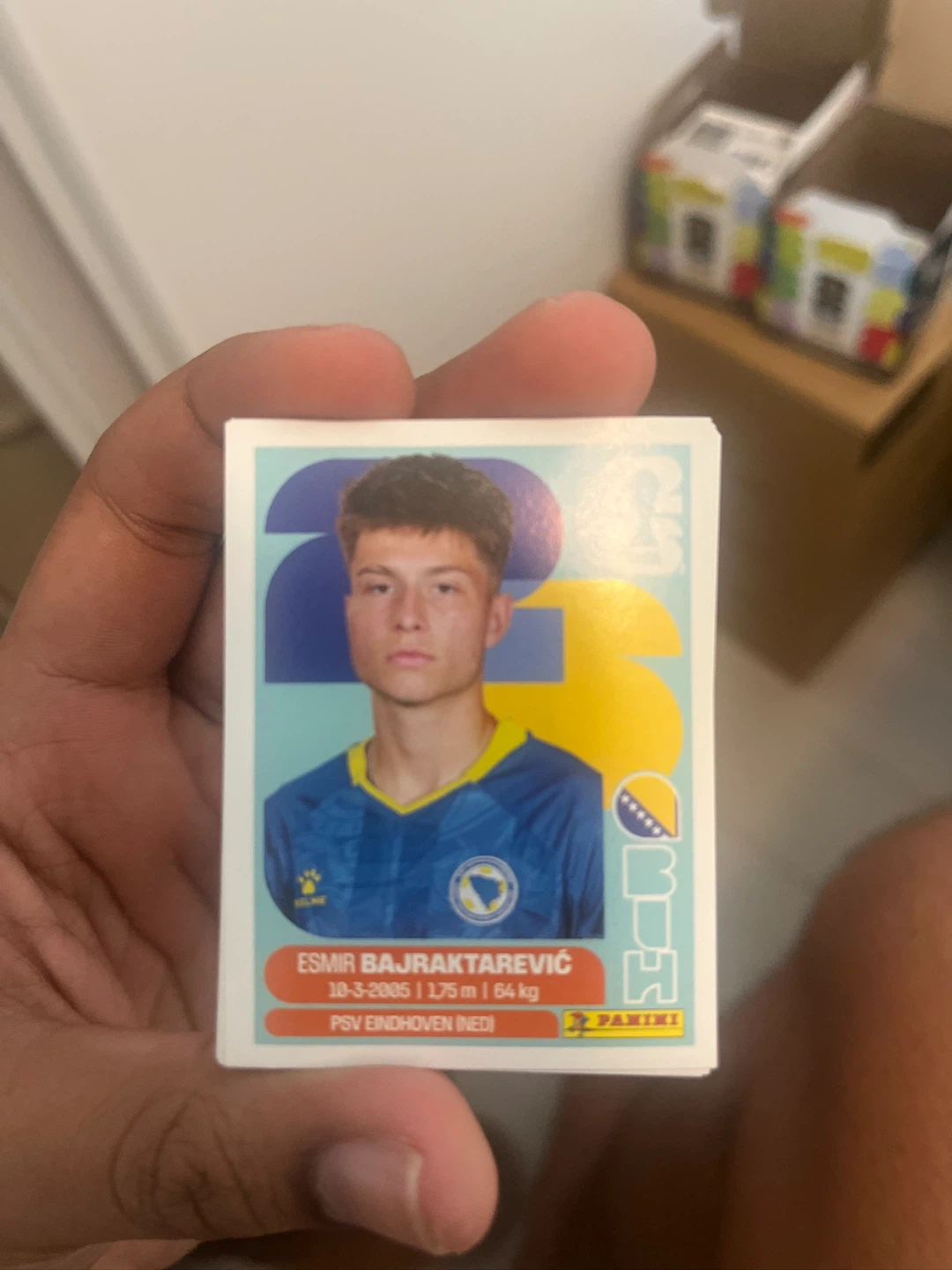 Panini FIFA World Cup Stickers - photo 3