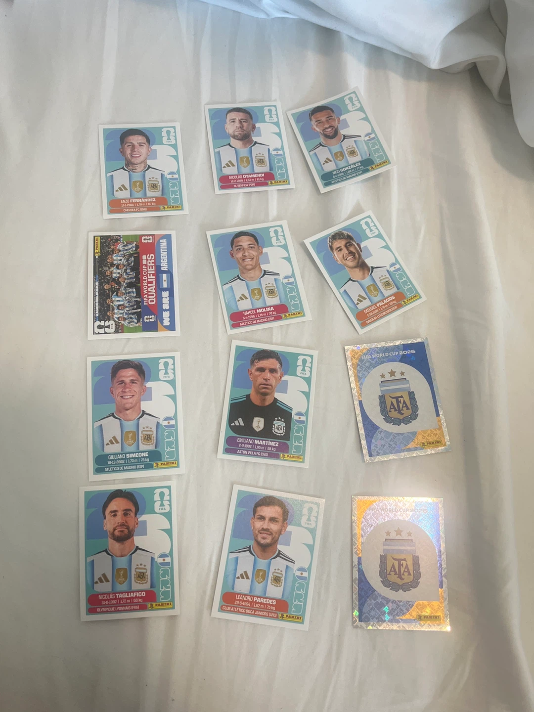 Panini FIFA World Cup Stickers - photo 2