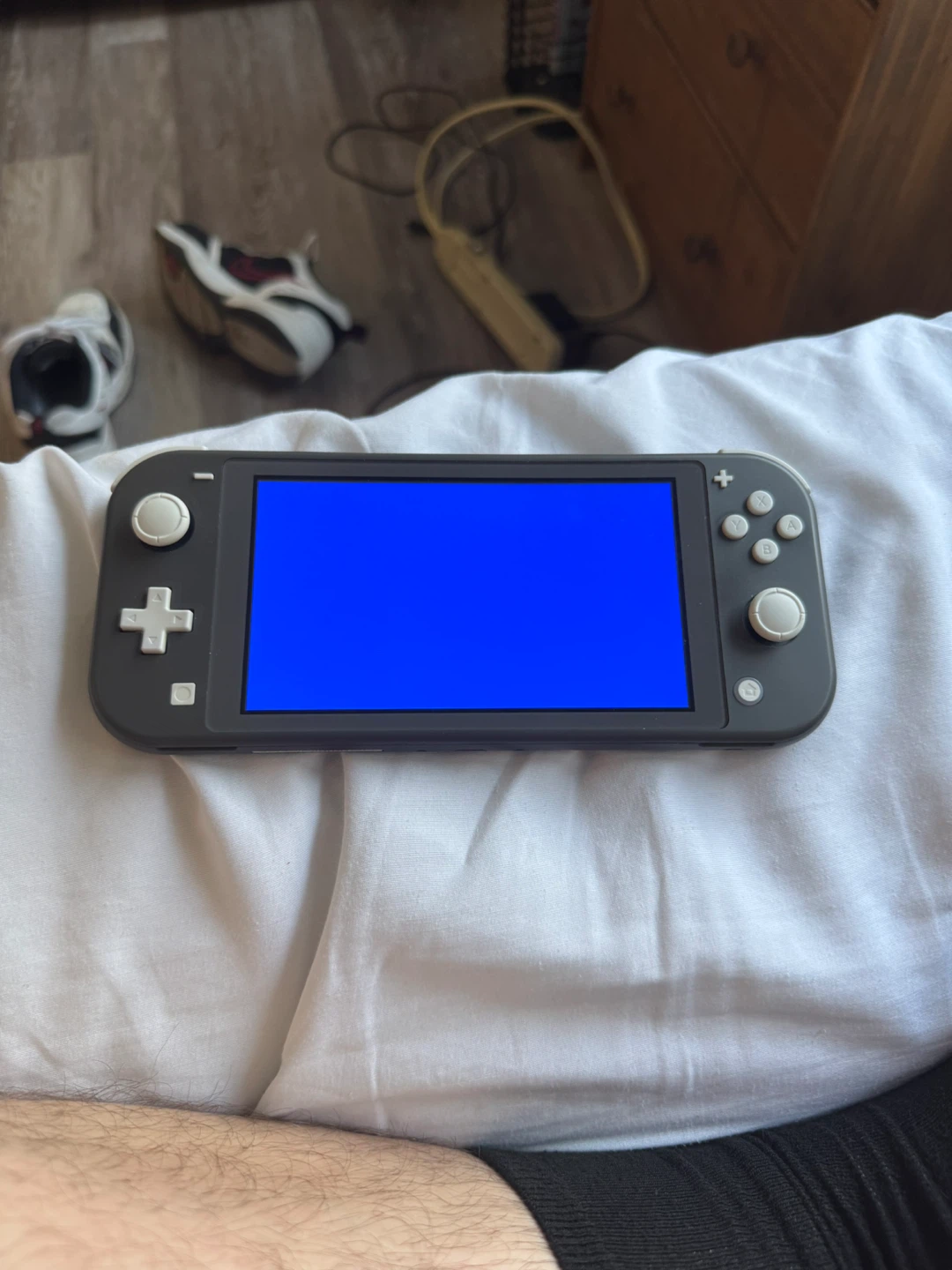 Nintendo Switch Lite blue screen of death