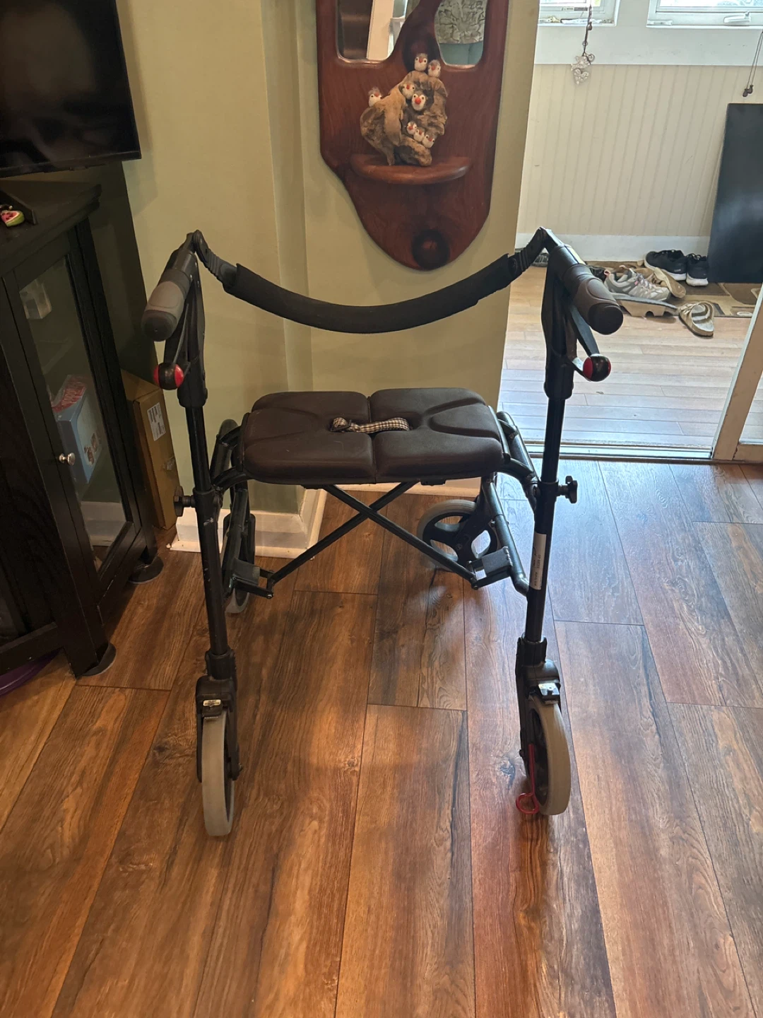 Assistive living devices - photo 4