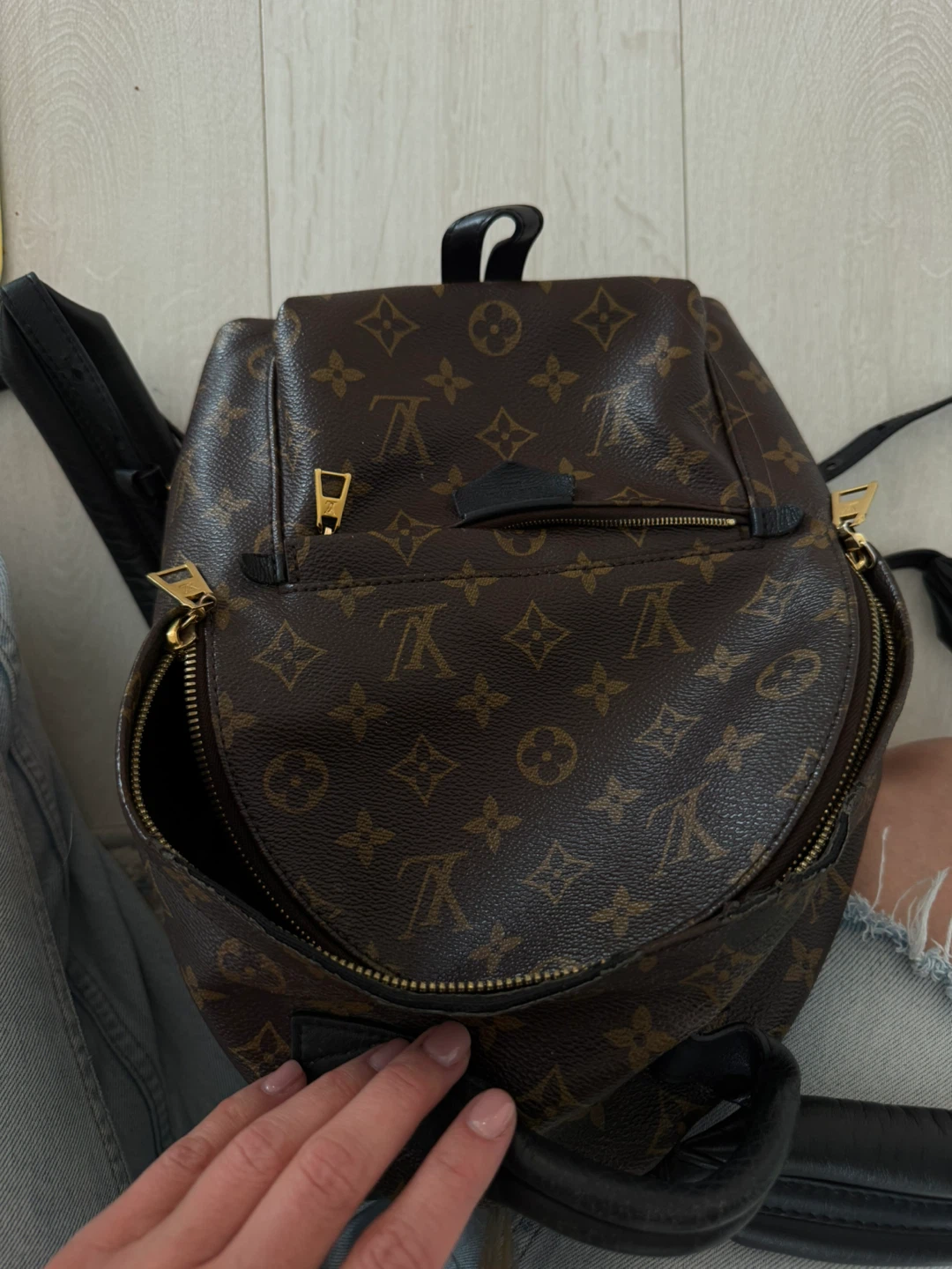 Louis Vuitton Monogram Backpack
