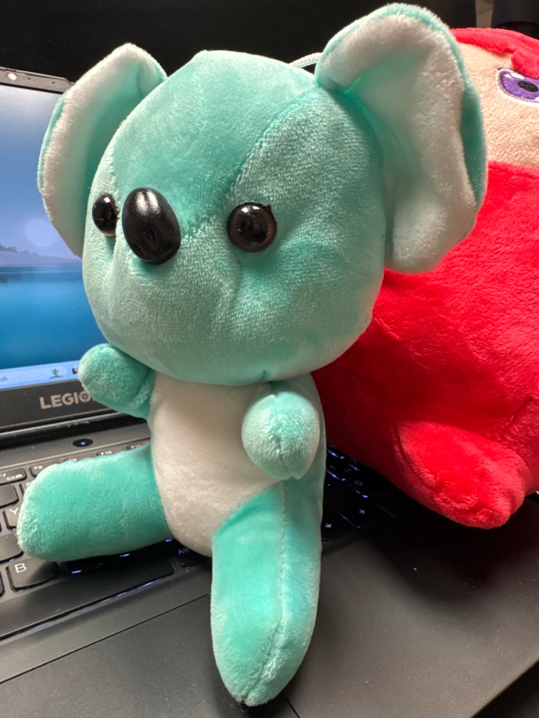 Aqua Koala Plush Toy ( Brand New) - photo 3