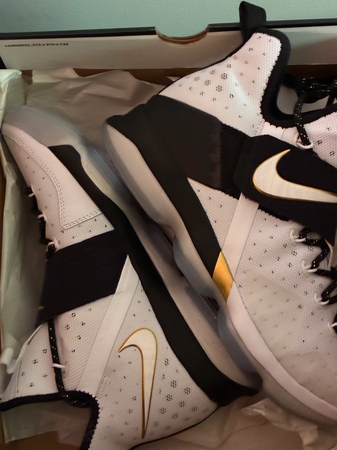 Nike Basketball Shoes