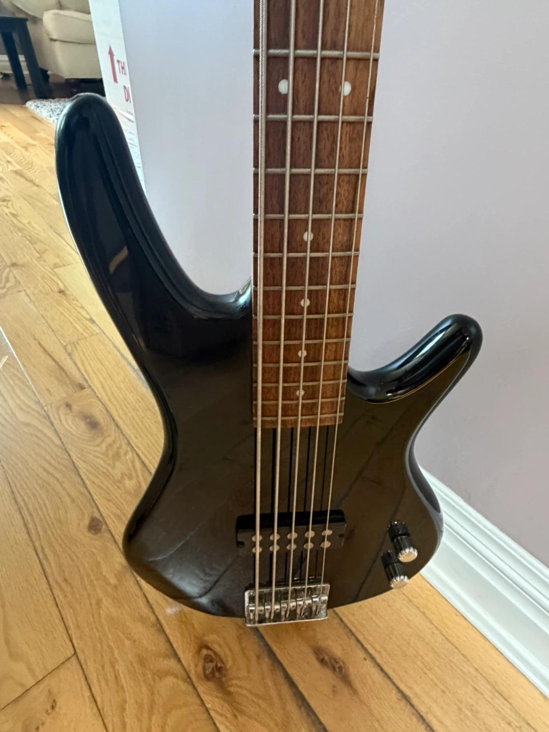 5-String Bass Guitar