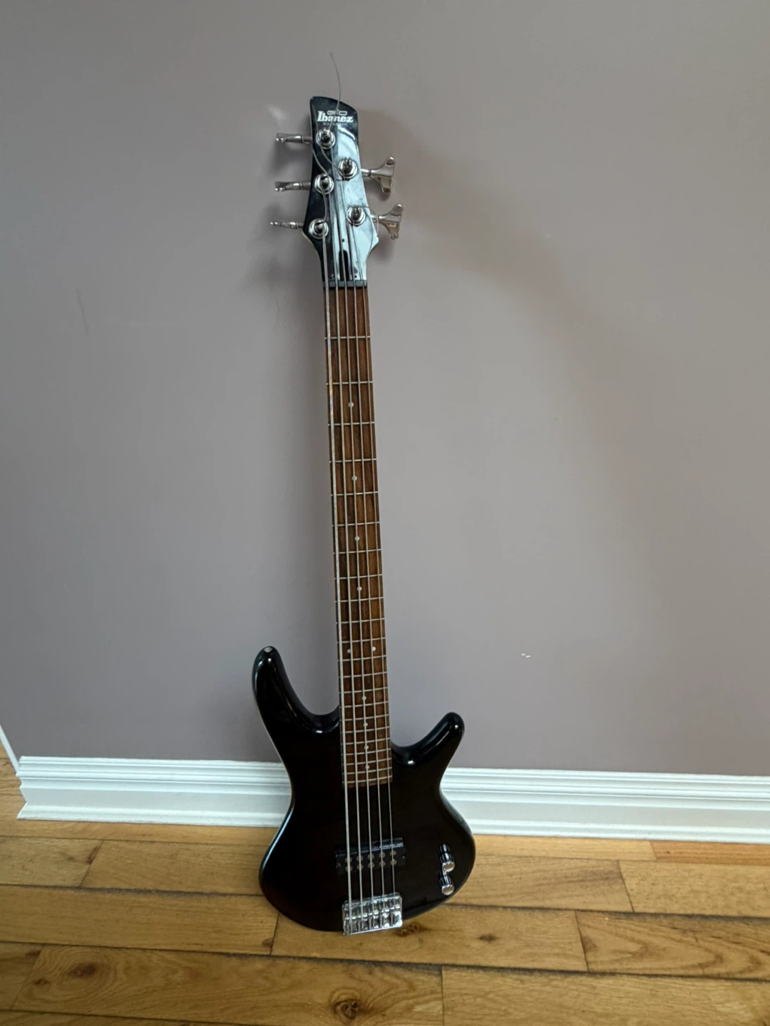 5-String Bass Guitar - photo 2