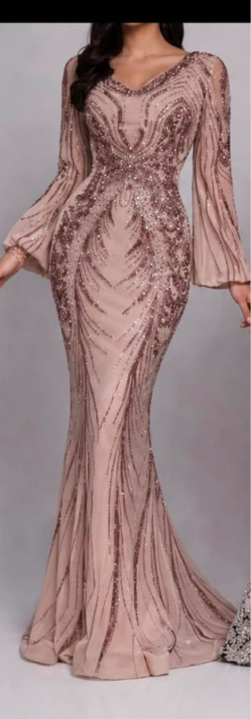 Sparkly Long Sleeve Evening Gown