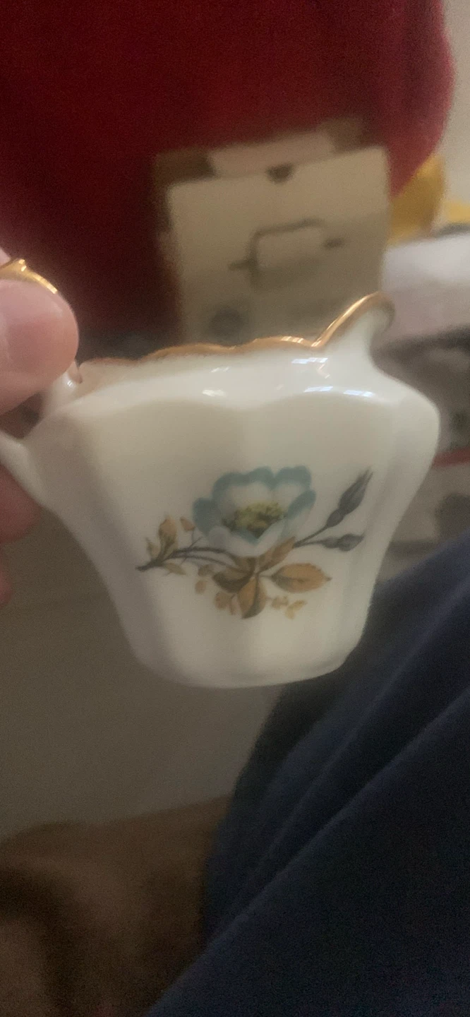 Salisbury Bone China Creamer with Floral Design