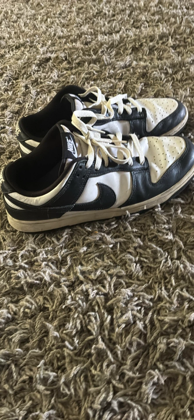 Nike Dunk Low Sneakers