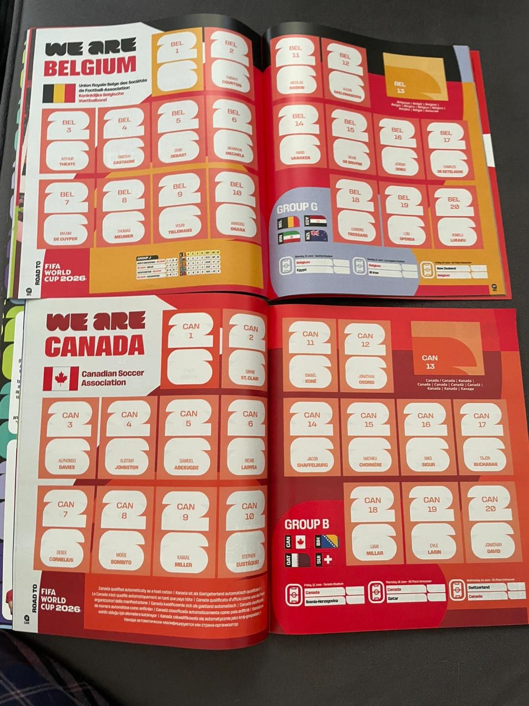 Panini FIFA World Cup 2026 Official Sticker Collection Album - photo 5