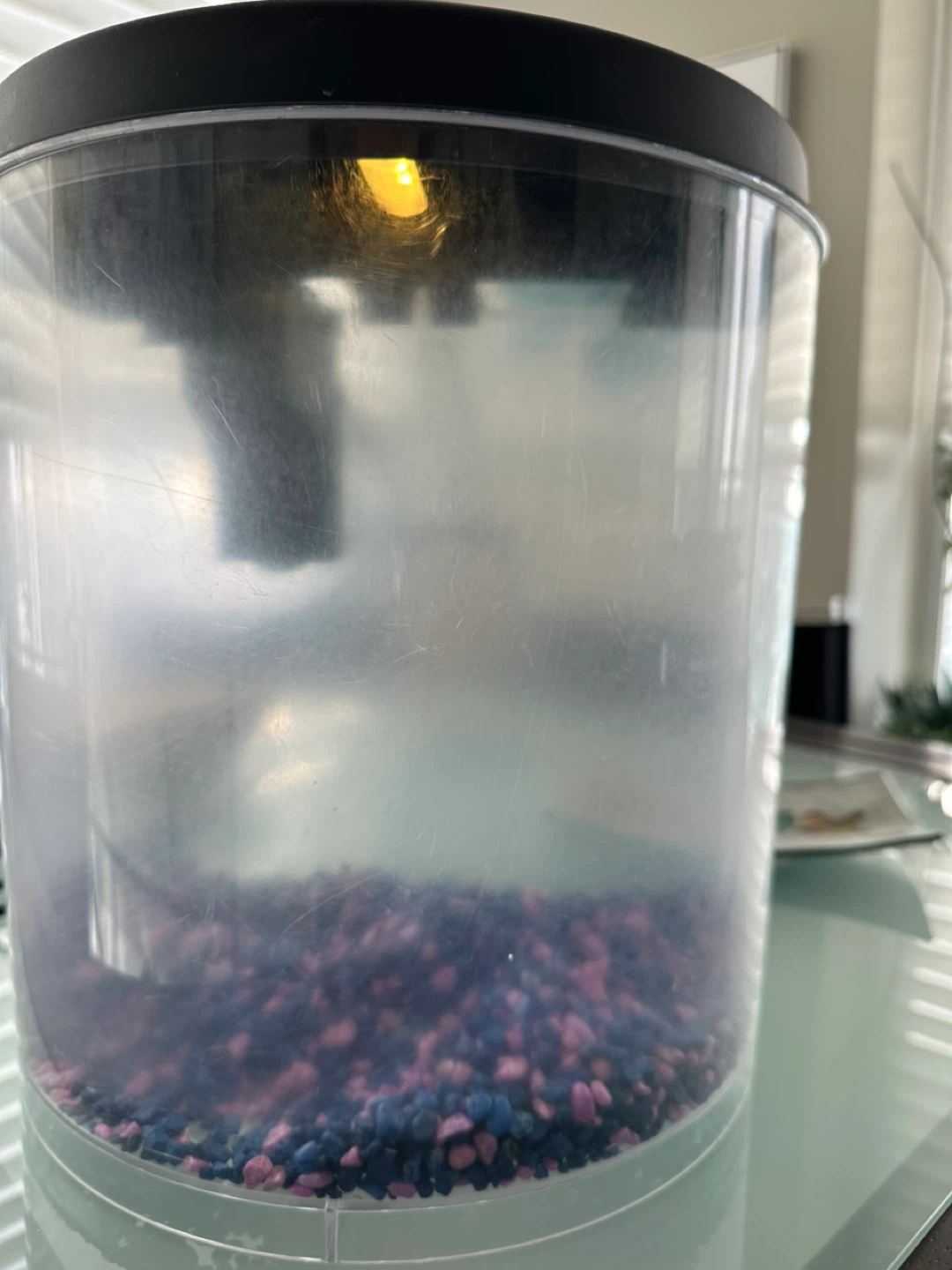 Clear Plastic Fish Tank - photo 3