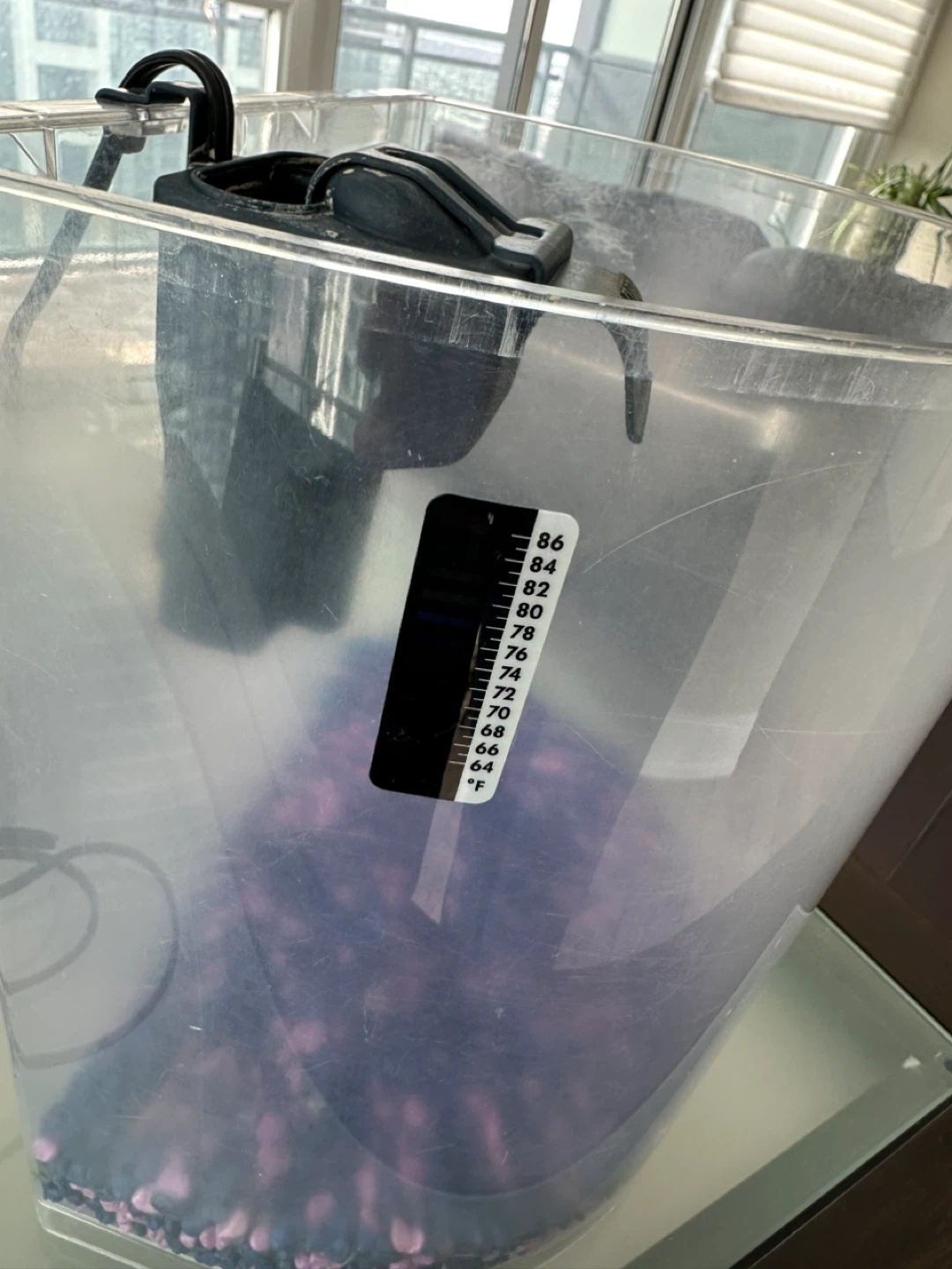 Clear Plastic Fish Tank - photo 2