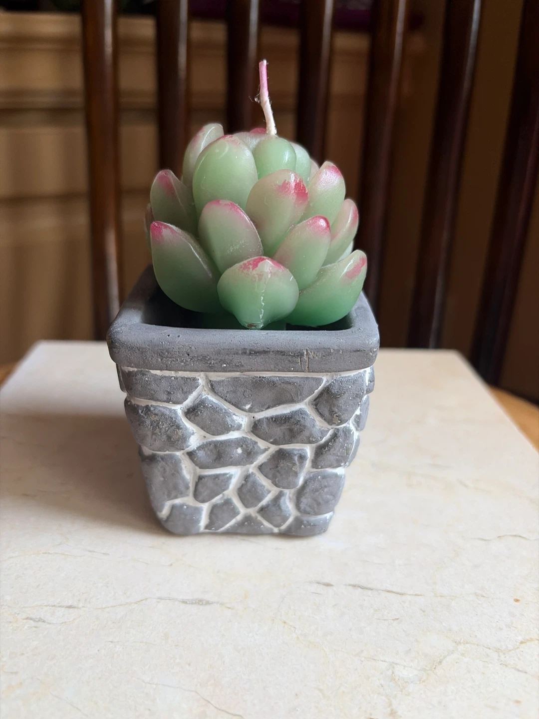 JT Patio Succulent Candle (never used)