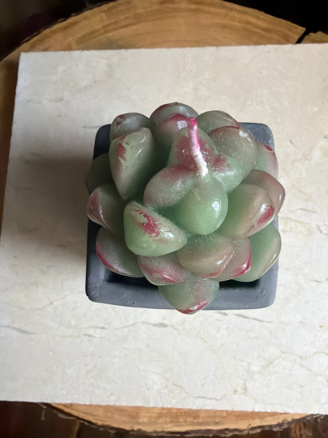 JT Patio Succulent Candle (never used) - photo 2