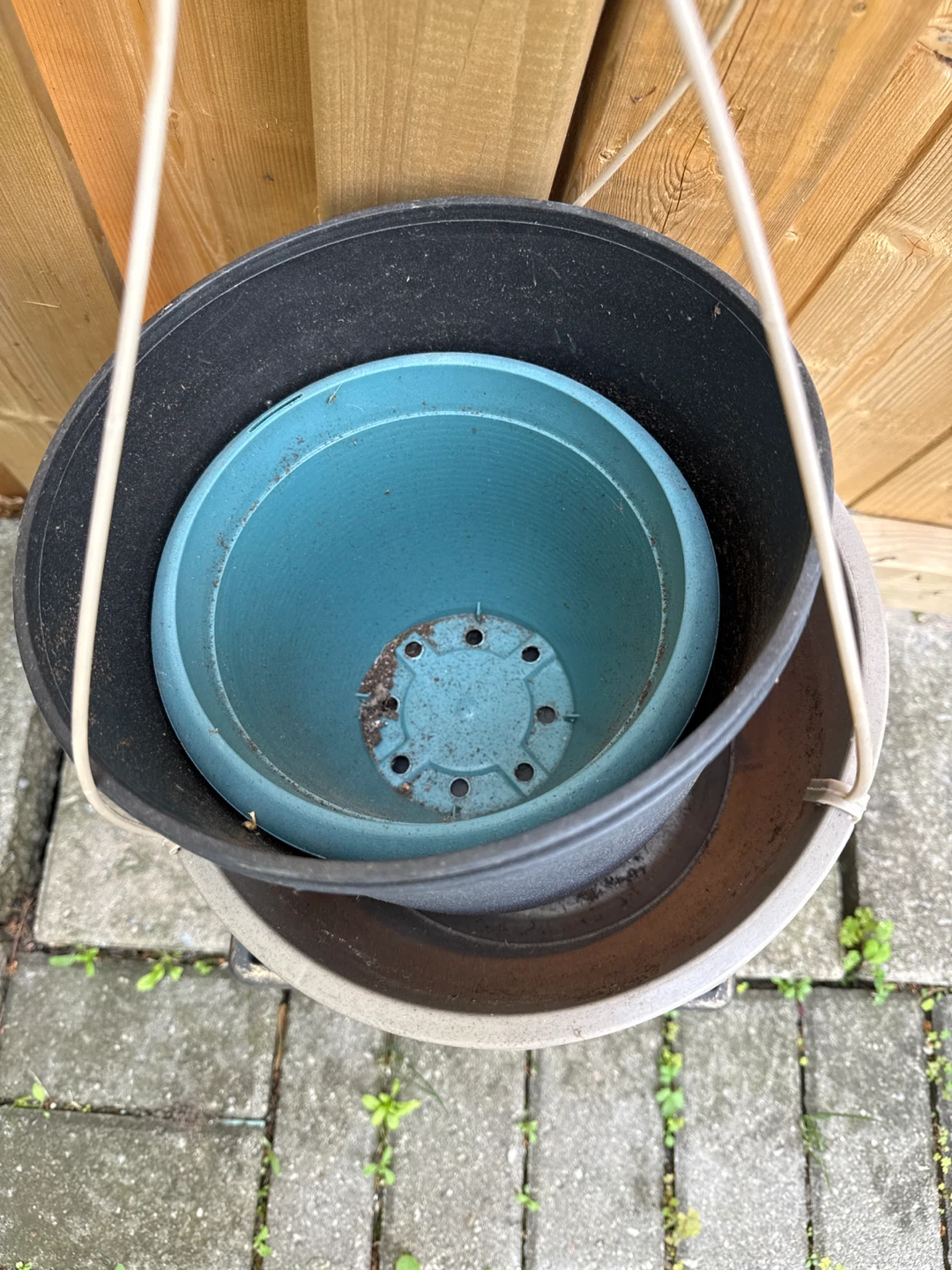 Free 8 Assorted Plant Pots - photo 2