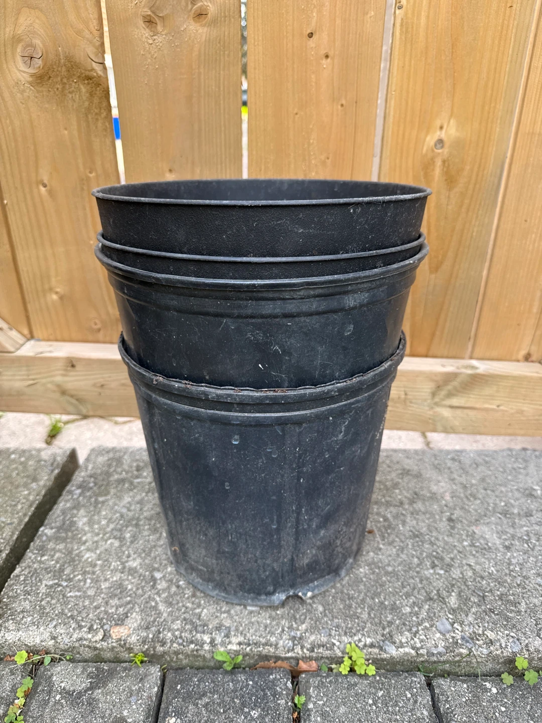 Free Set of 4 Black Plastic Plant Pots
