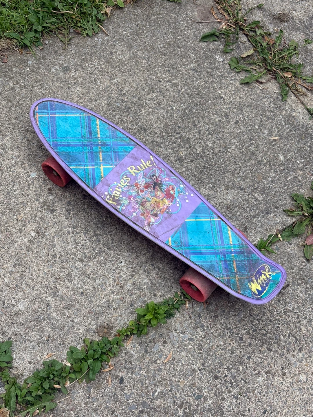 Wink Fairies Rule! Penny Board
