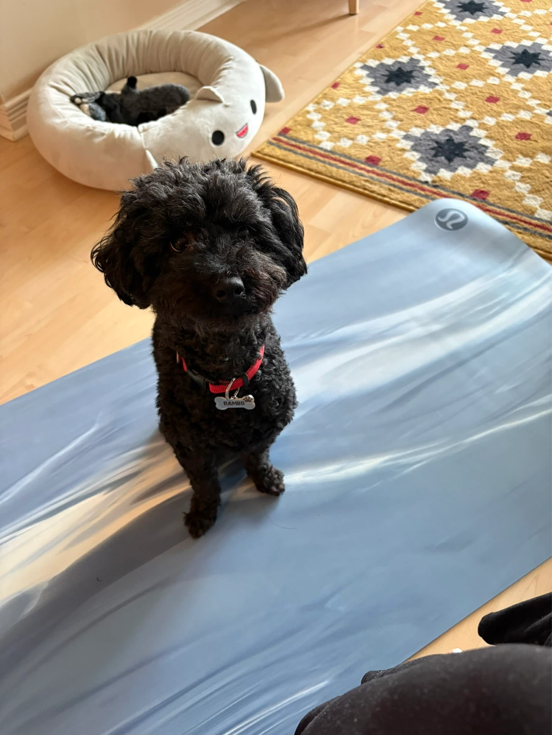 Lululemon Yoga Mat