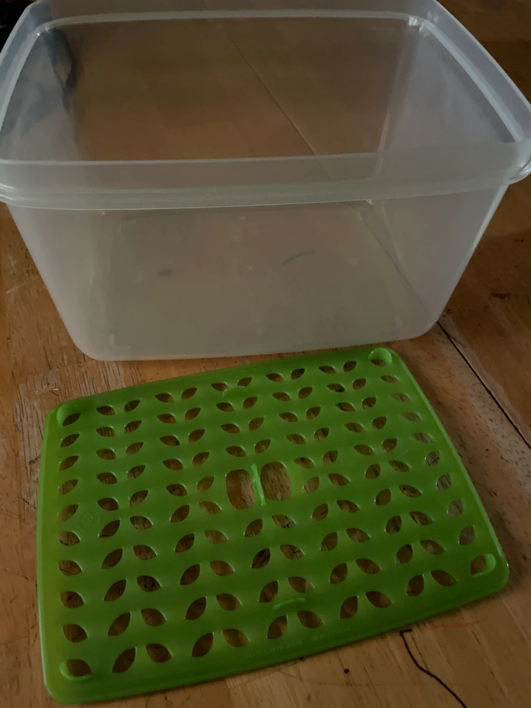 Rubbermaid Food Storage Container - photo 4