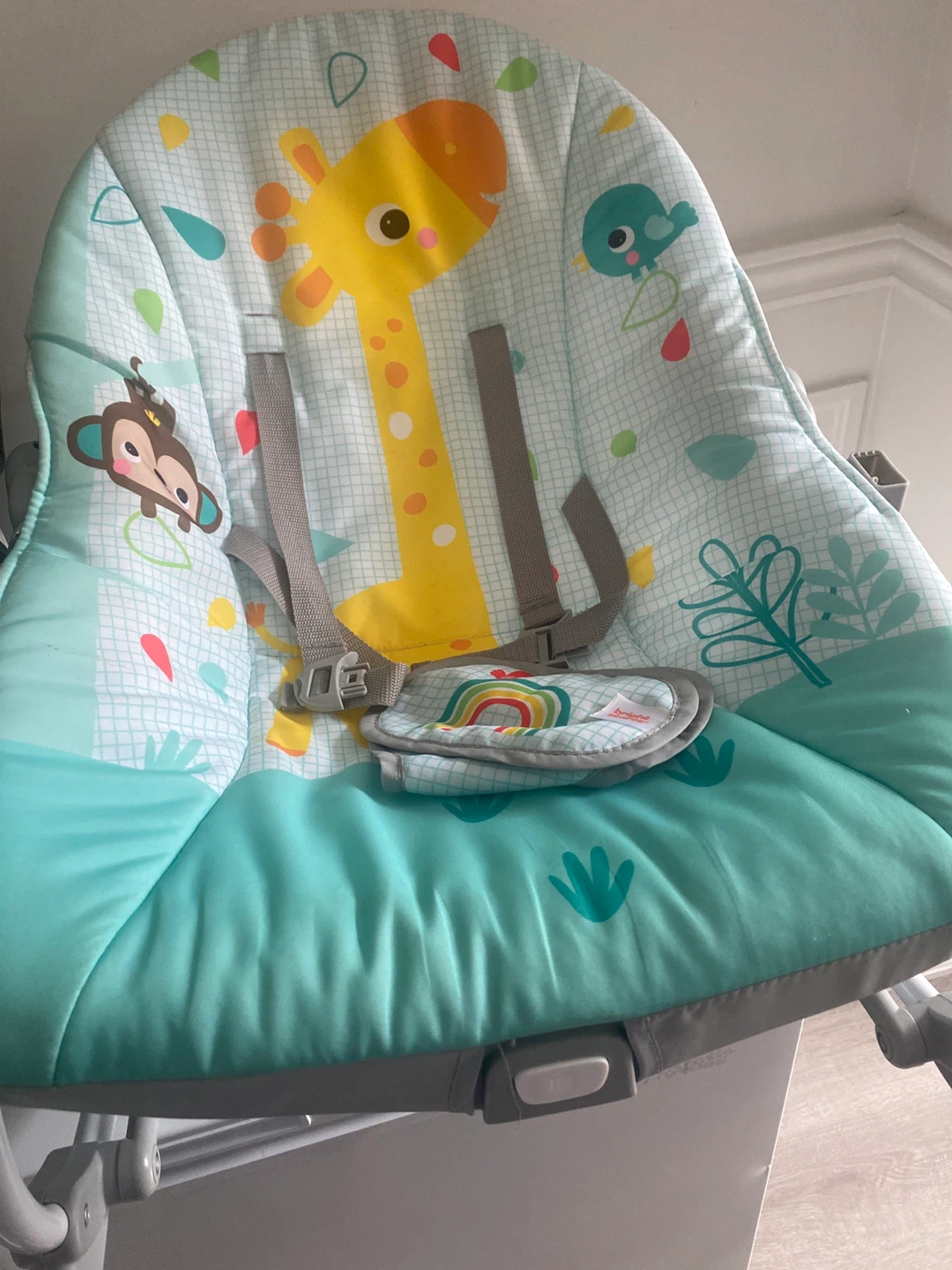 Bright Starts High Chair Pad