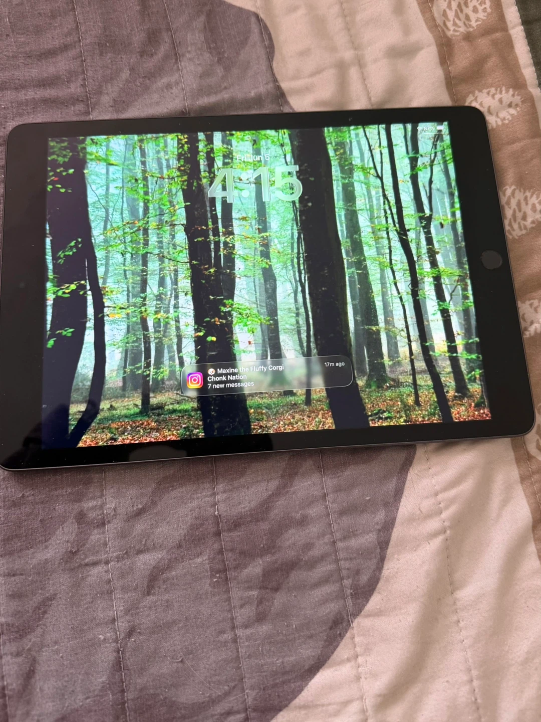 Apple iPad Tablet 8th generation