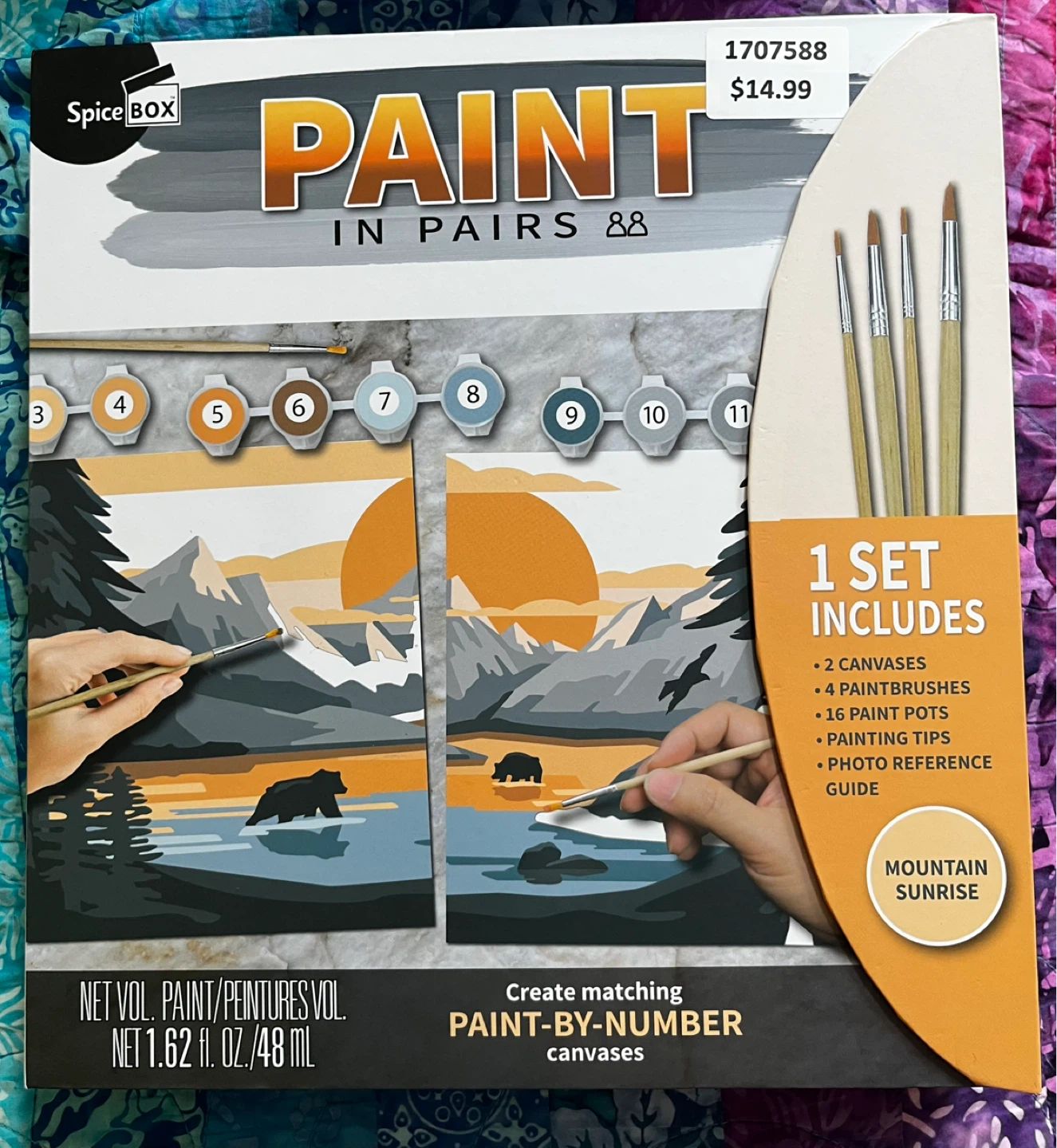 SpiceBox Paint in Pairs Paint-by-Number Kit