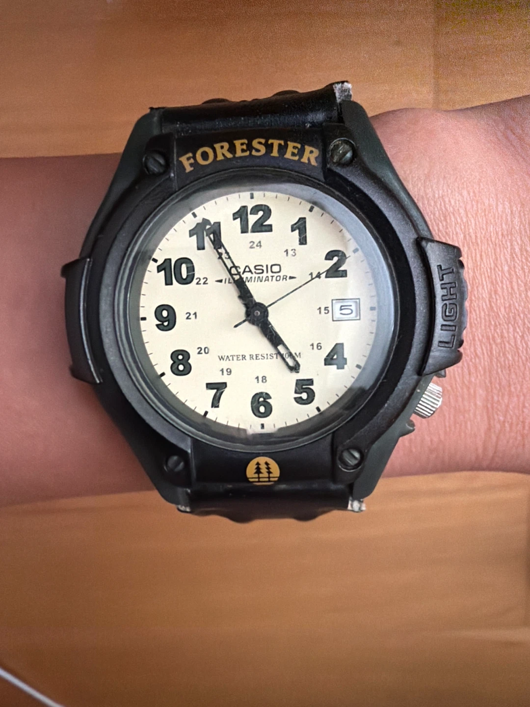 Casio Forester Watch