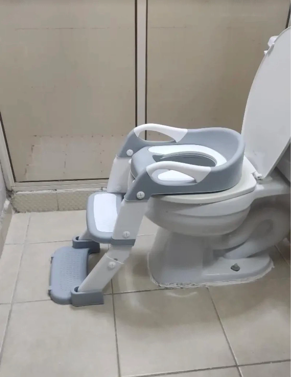 Toddler Potty Training Seat with Ladder