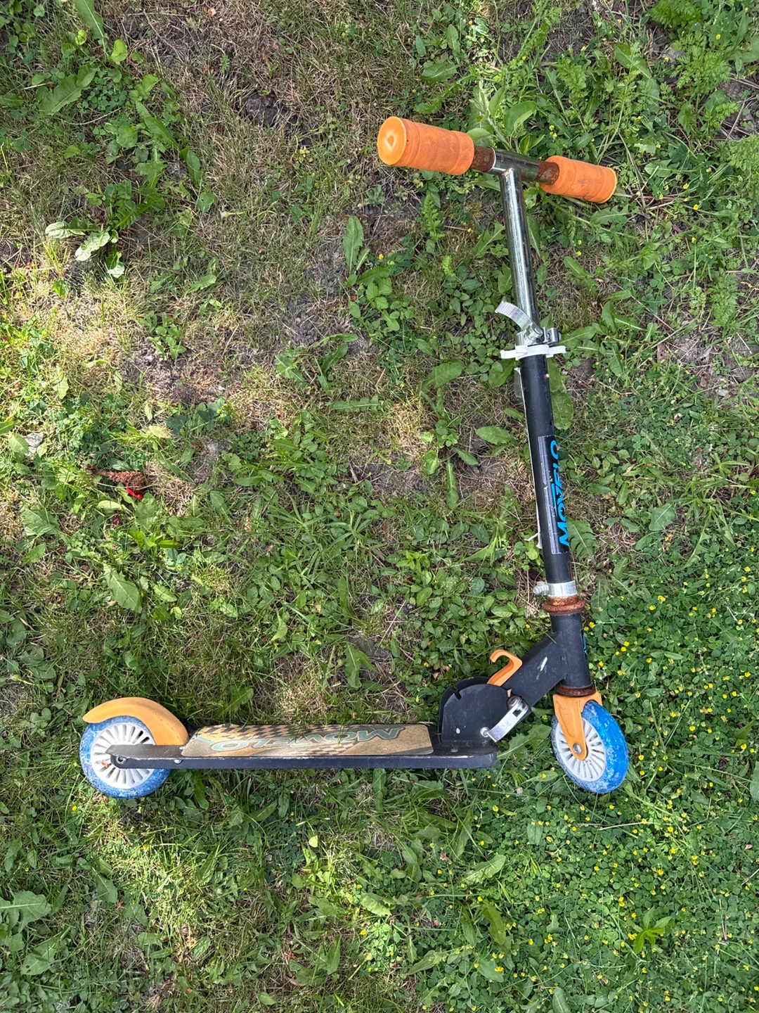 Free Movelo Scooter