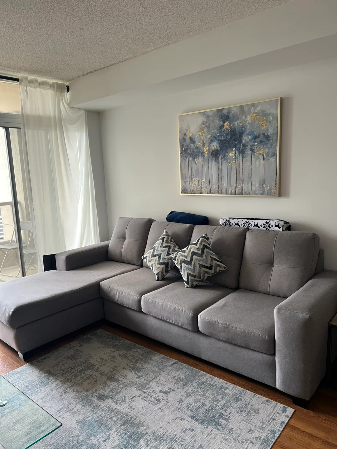 Grey Sectional Sofa with Chaise