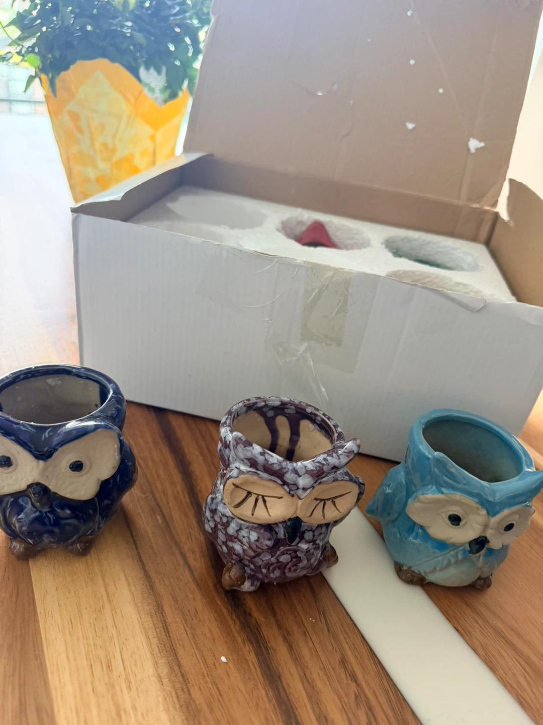 Set of 6 Ceramic Owl Planters - photo 2