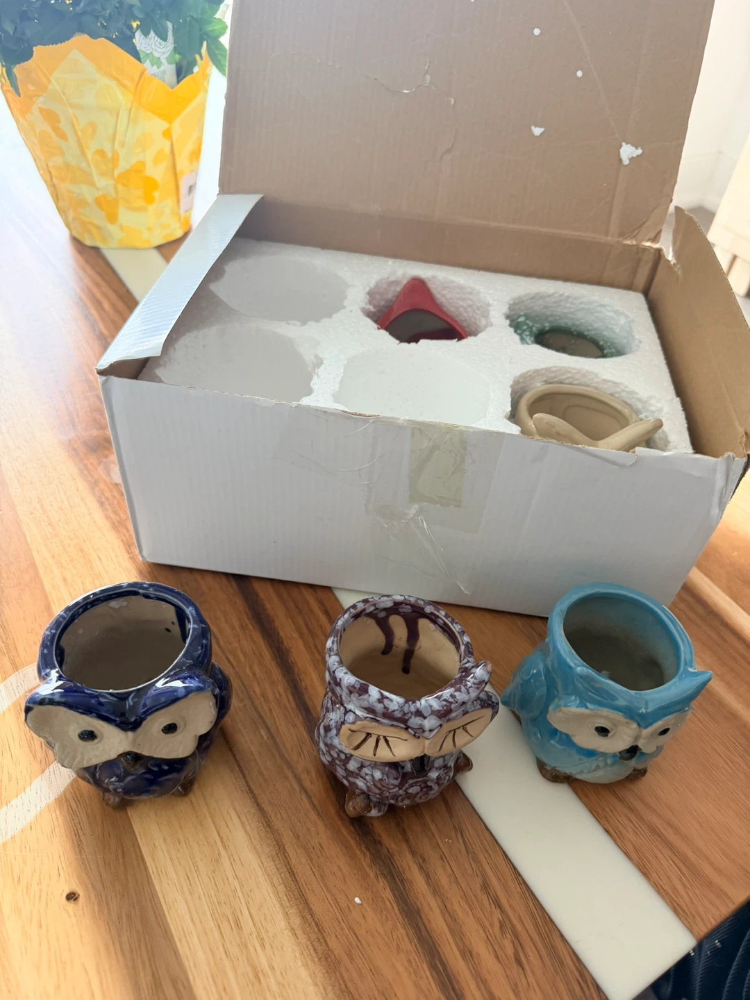 Set of 6 Ceramic Owl Planters