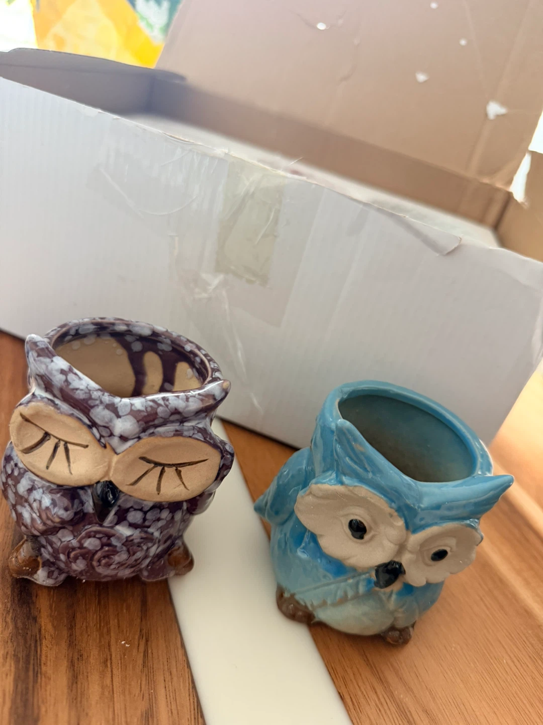 Set of 6 Ceramic Owl Planters - photo 3
