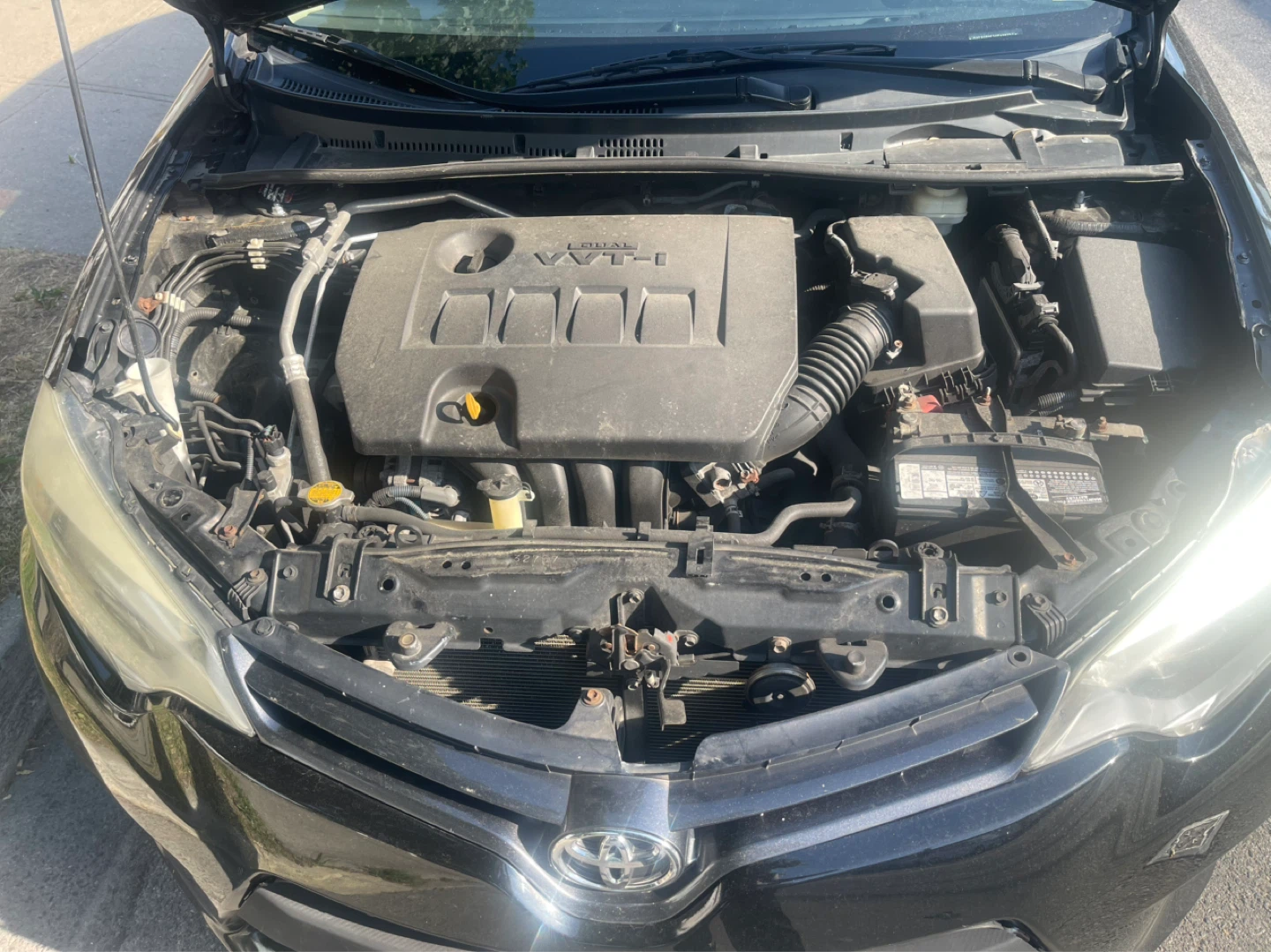 Black Toyota Corolla LE Sedan - photo 2