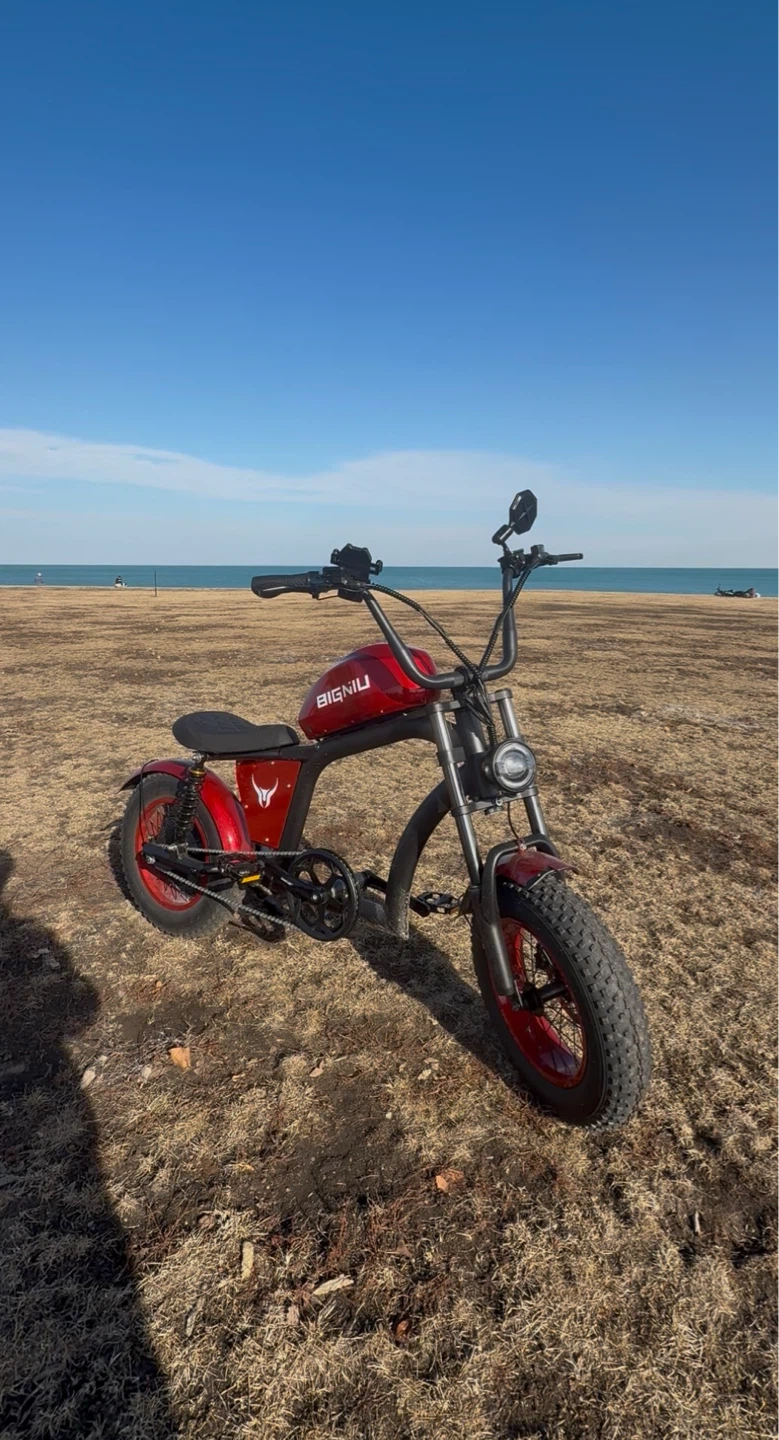BIGNIU bgx Red Electric Bicycle - photo 2