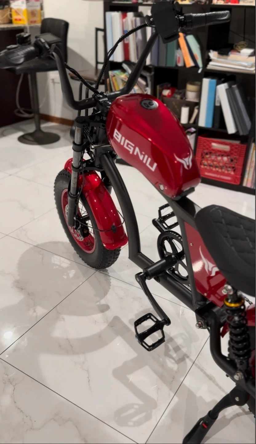 BIGNIU bgx Red Electric Bicycle - photo 3