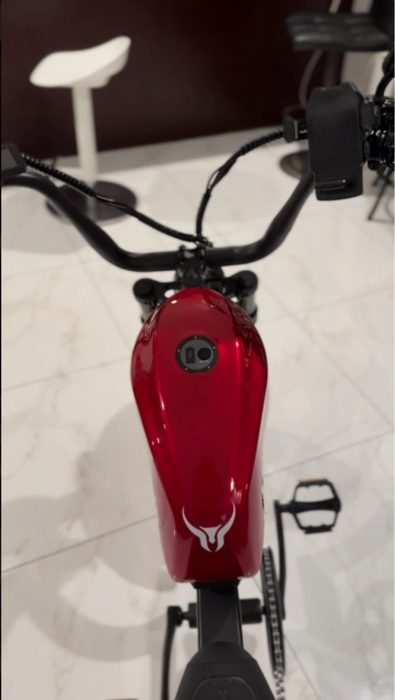 BIGNIU bgx Red Electric Bicycle - photo 4