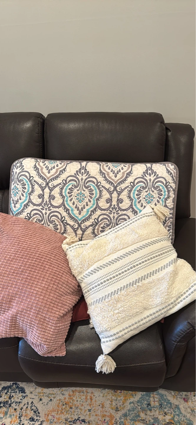Throw Pillows and pillows (set of 2)