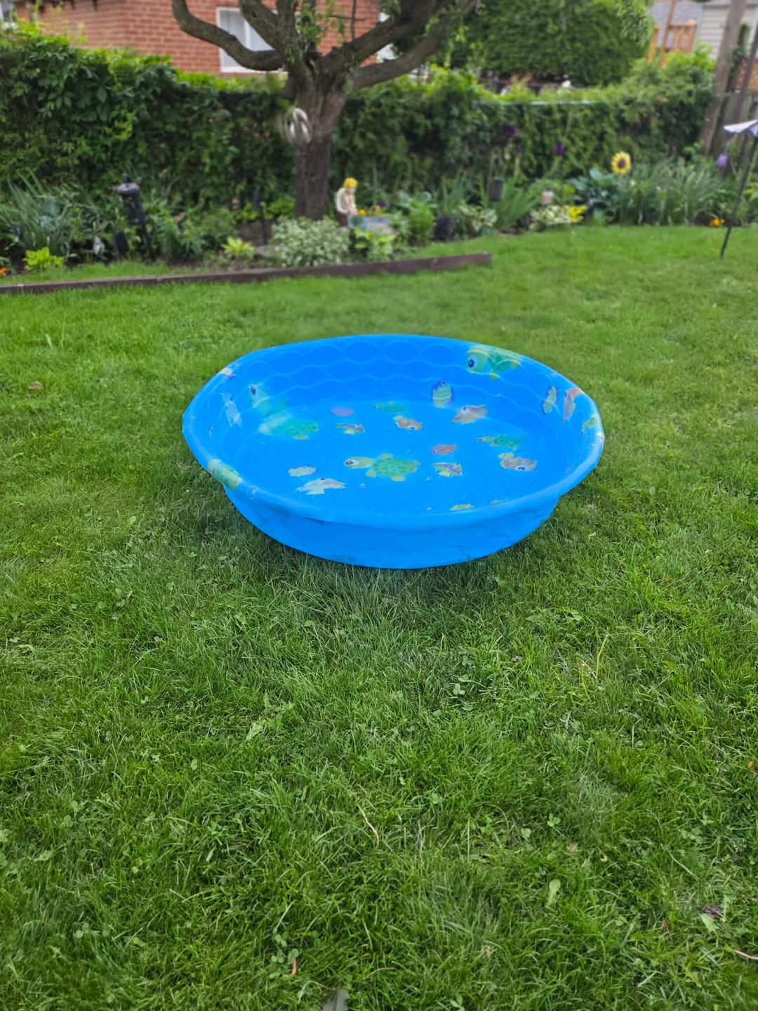 Funsicle Hard Plastic Kiddie / Pet Pool - Excellent Condition