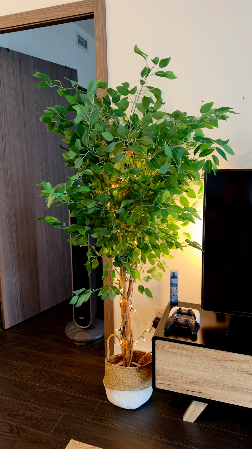 Artificial Ficus Tree with Lights and basket