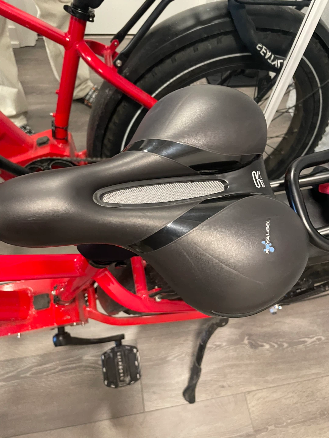 🚴‍♂️ RIZE Electric Bike + Premium Accessories Package - photo 3