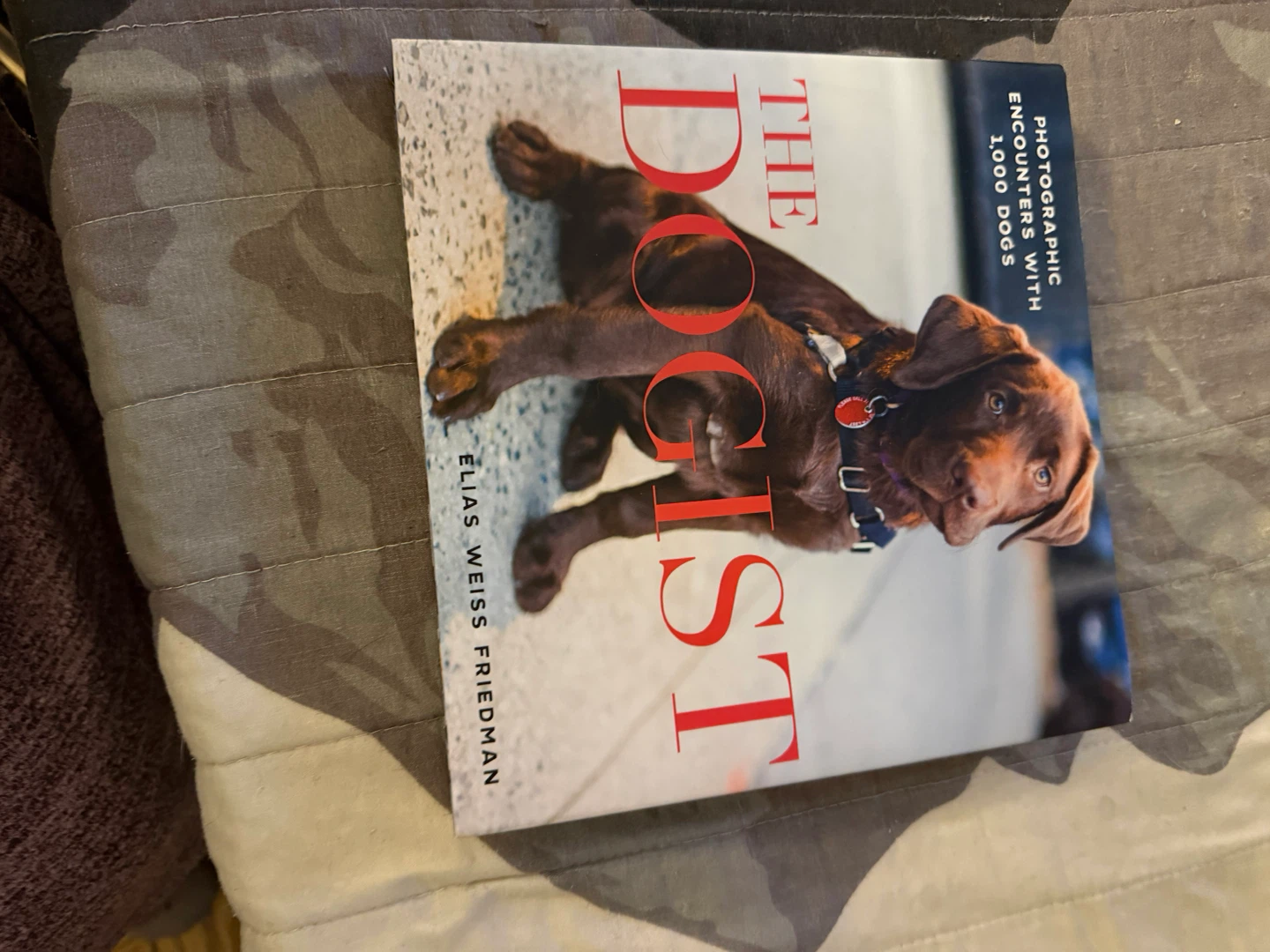 The Dogist: Photographic Encounters with 1000 Dogs Book